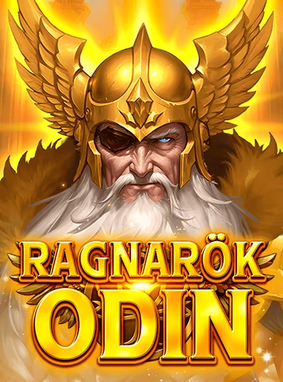 wj999 wj999